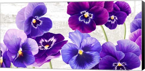 Framed Dance of Pansies Print