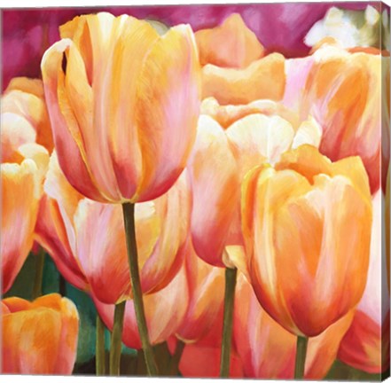 Framed Spring Tulips I Print