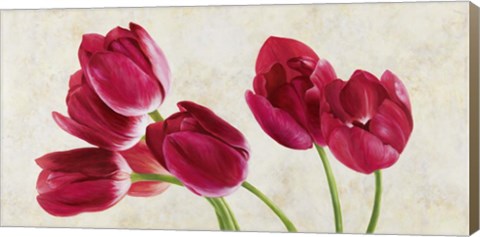 Framed Tulip Concerto Print