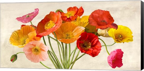 Framed Poppies in Spring Print