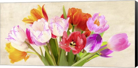 Framed Tulips in Spring Print