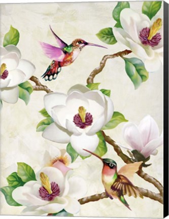 Framed Magnolia and Humming Birds Print