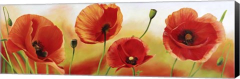 Framed Poppies in the Wind Print