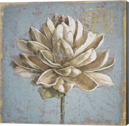 Framed Seed Pod I no Words Print
