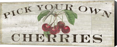 Framed Farm Fresh Cherries Print