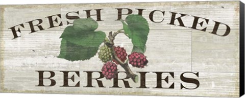 Framed Farm Fresh Berries Print