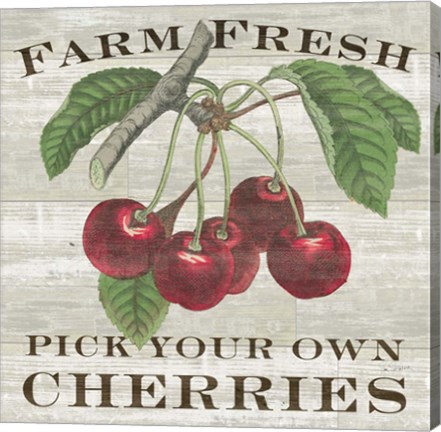 Framed Farm Fresh Cherries I Print