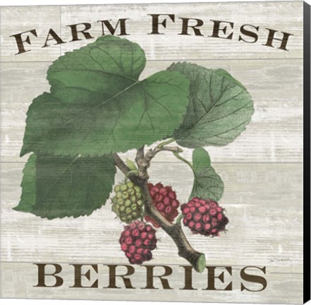 Framed Farm Fresh Berries I Print