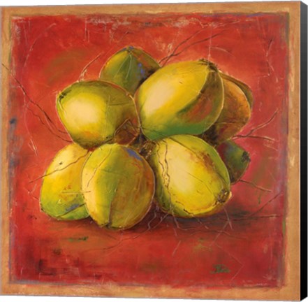 Framed Cocos Locos III Print
