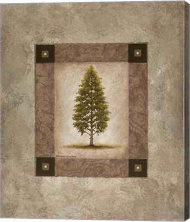 Framed European Pine I Print