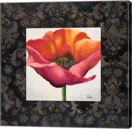 Framed Poppy Flower I Print