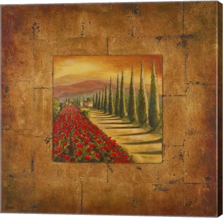 Framed Bella Toscana I Print