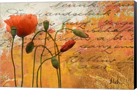 Framed Poppies Composition I Print