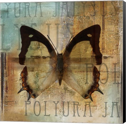 Framed Polyurabutterfly I Print