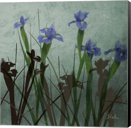 Framed Blue Irises I Print