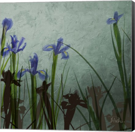 Framed Blue Irises II Print