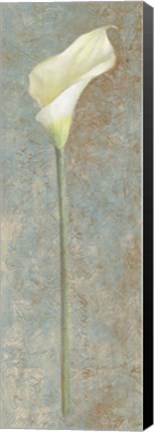 Framed Calla Lily I Print