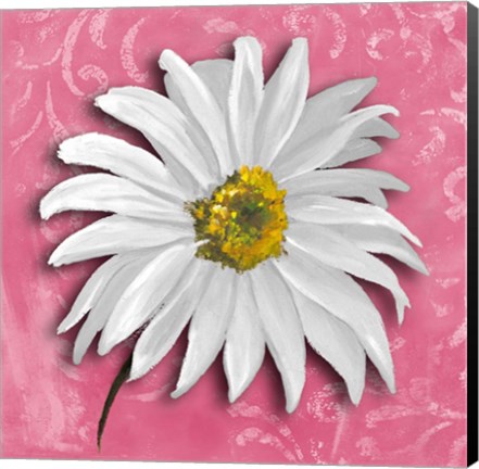 Framed Blooming Daisy III Print