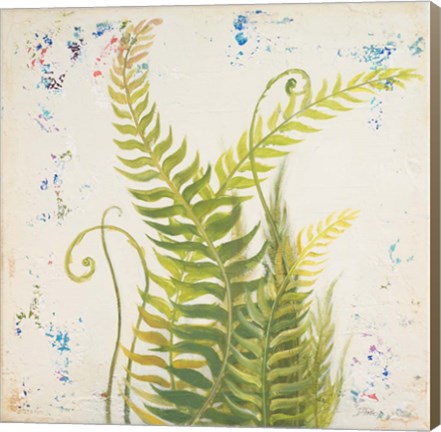 Framed Nice Ferns I Print