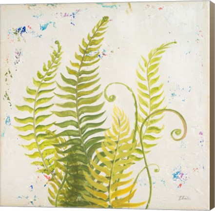 Framed Nice Ferns II Print
