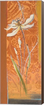 Framed Fancy Floral II Print