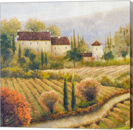 Framed Tuscany Vineyard I Print