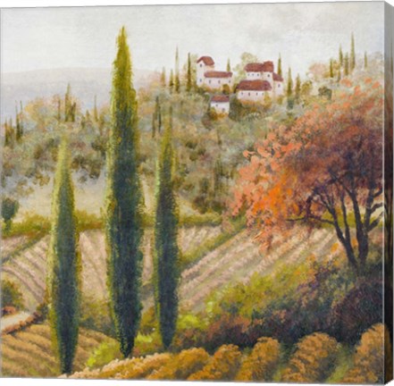 Framed Tuscany Vineyard II Print