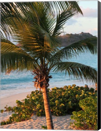 Framed Sunset Palms I Print