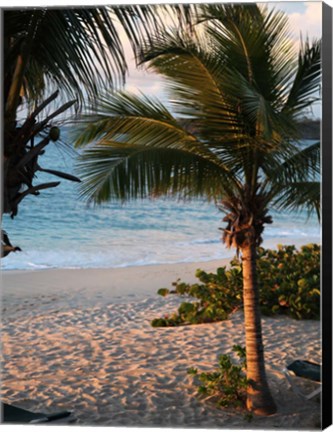 Framed Sunset Palms II Print