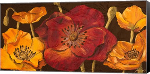 Framed Dazzling Poppies I (black background) Print