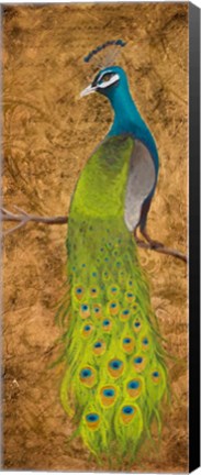 Framed Peacocks I Print