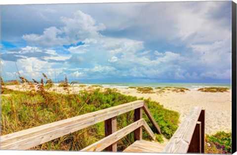 Framed Beach Island I Print