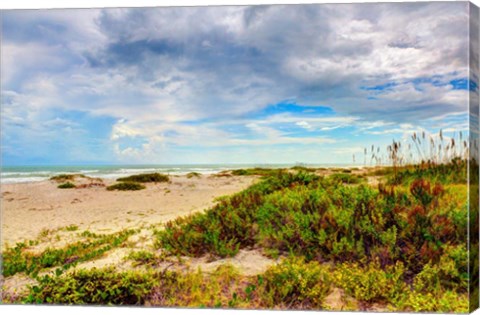 Framed Beach Island II Print