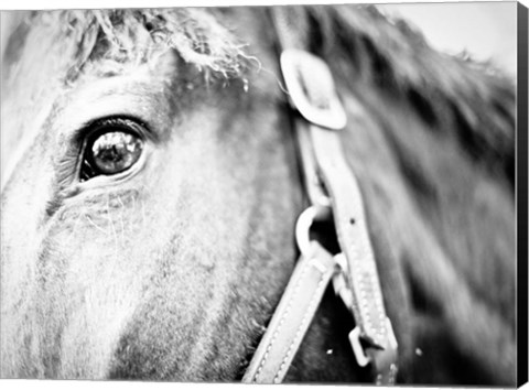 Framed Horseback Riding Print