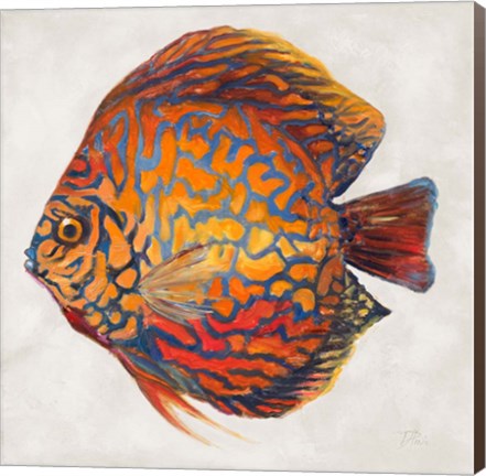 Framed Little Fish II Print