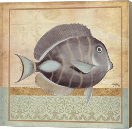 Framed Vintage Fish II Print