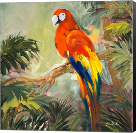 Framed Parrots at Bay I Print