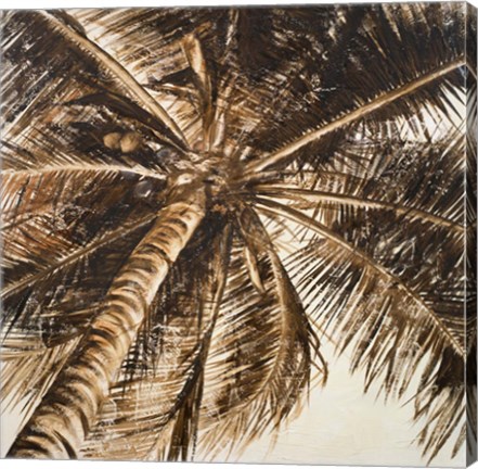 Framed Coconut Palm II Print