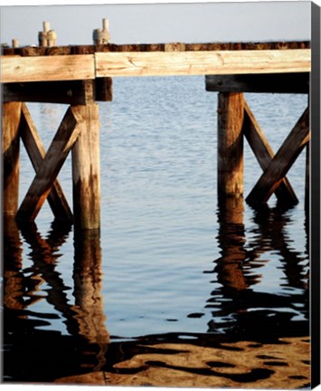 Framed Waterside Beauty I Print