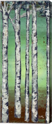 Framed Tall Trees II Print