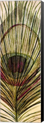 Framed Peacock Feather II Print