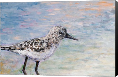 Framed Sandpiper IB Print