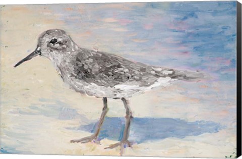 Framed Sandpiper IIB Print