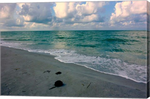 Framed Emerald Sea Print