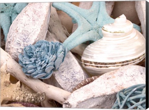 Framed Bundle of Shells II Print