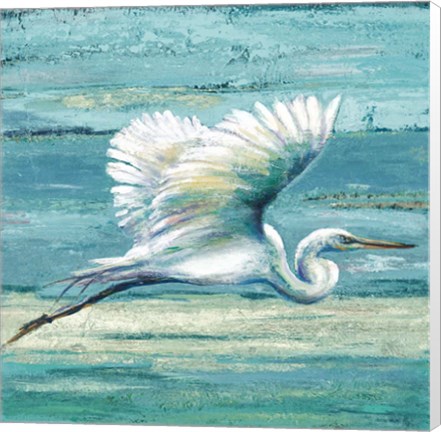 Framed Great Egret I Print