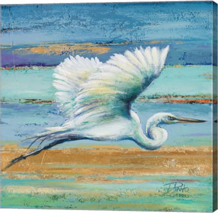 Framed Great Egret I Print