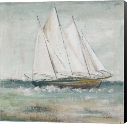 Framed Cape Cod Sailboat II Print