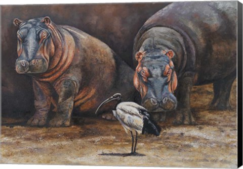 Framed Baby Hippos Print