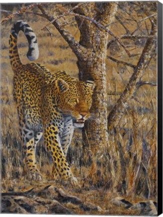 Framed Leopard Walking Print